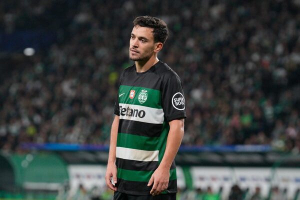Pedro Gonçalves