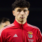 Manu Silva