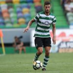 Piccini