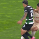 Maxi Araujo