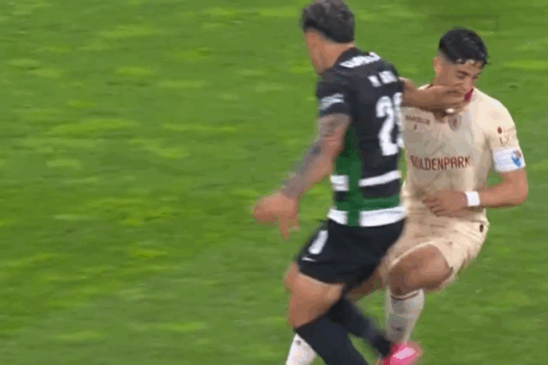 Maxi Araujo